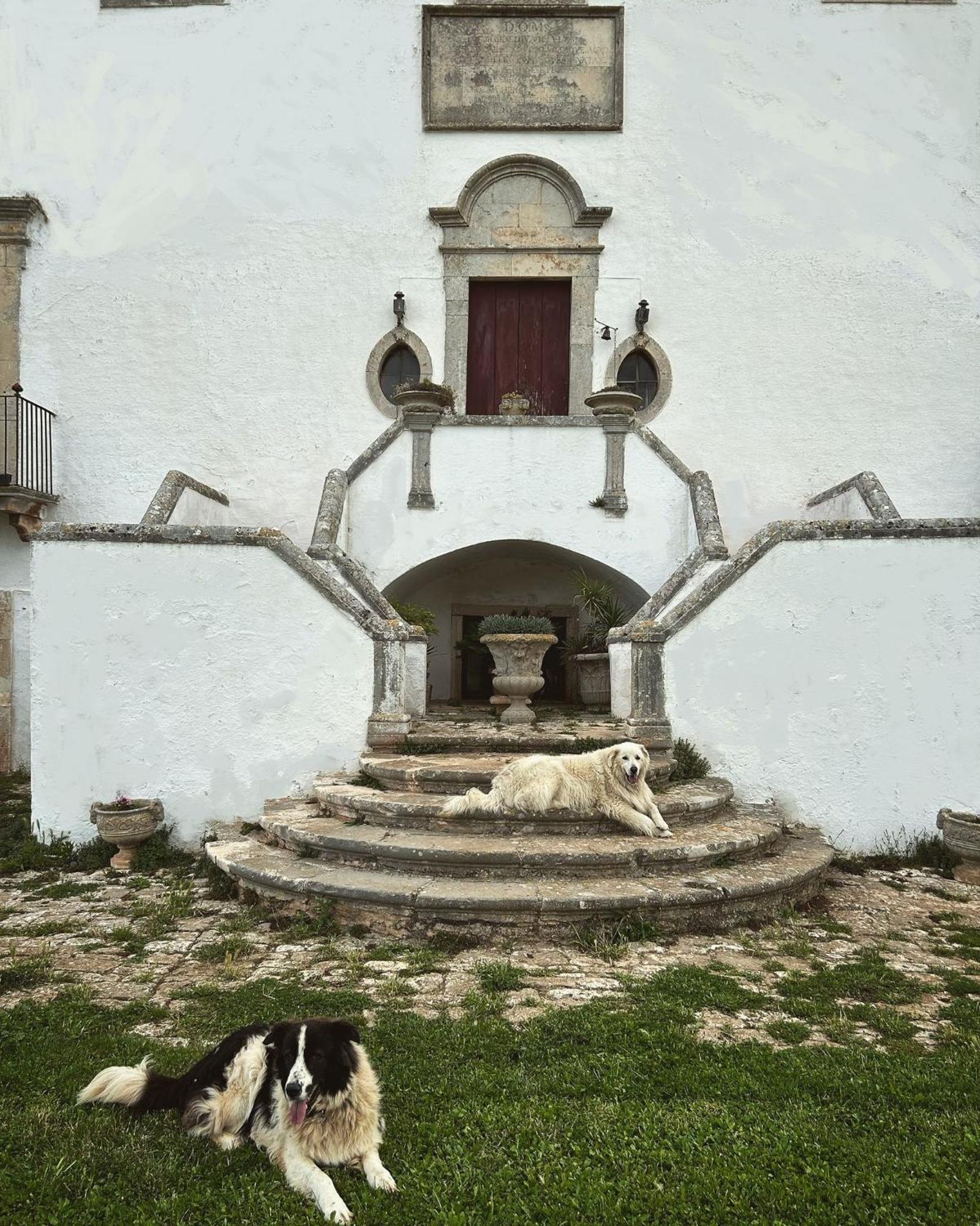 Masseria Murgia Albanese Ночи Екстериор снимка