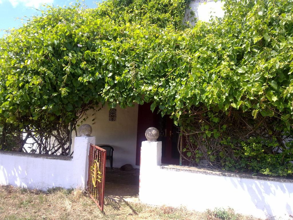 Masseria Murgia Albanese Ночи Екстериор снимка