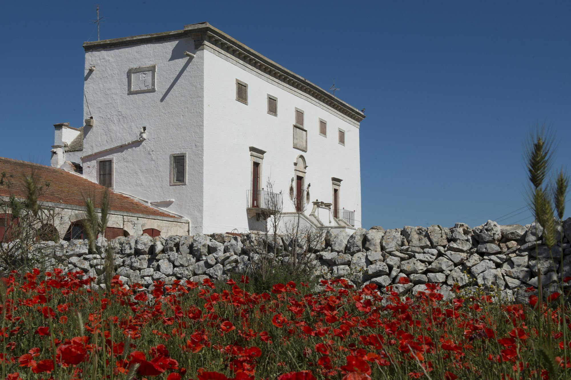 Masseria Murgia Albanese Ночи Екстериор снимка